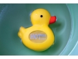 Badethermometer Ente