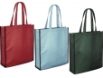 Recycling PET Grocery Shopper