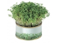 Garten in der Dose