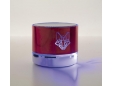 Bluetooth-Lautsprecher