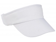 Sunvisor