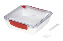 Lunchbox DELICIOUS